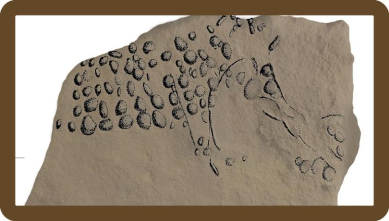 Προϊστορικές βραχογραφίες 38.000 ετών στη Γαλλία θυμίζουν την πουαντιγιστική τεχνική