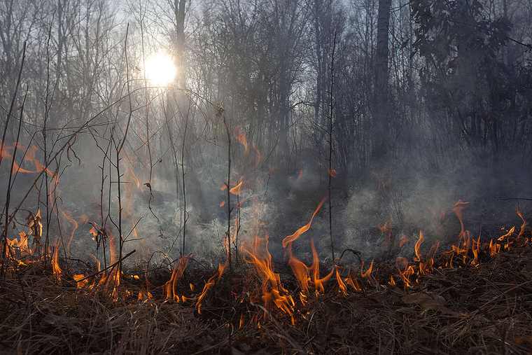 Περιβαλλοντικές οργανώσεις για φωτιές: Αν δεν ήρθε τώρα η ώρα για γενναίες πολιτικές αποφάσεις, τότε πότε;