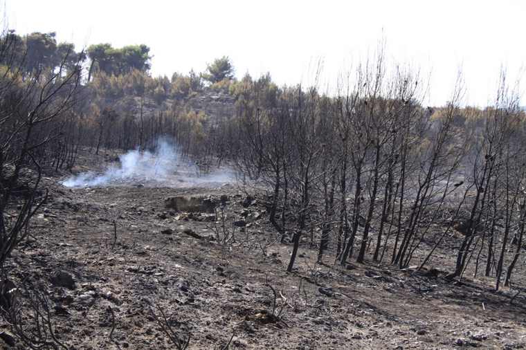 Πρωτοβουλίες του Γεωτεχνικού Επιμελητηρίου για τον προσδιορισμό των τρόπων αποκατάστασης του περιβάλλοντος μετά τις φωτιές