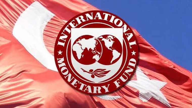 Δάνειο ΔΝΤ σε Τουρκία προβλέπει το Γερμανικό Ινστιτούτο Οικονομικών Ερευνών