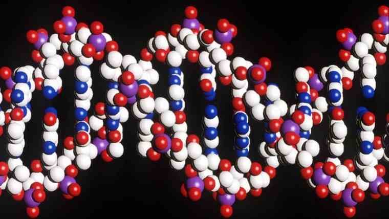 Ερευνητές ανακάλυψαν 52 νέα γονίδια που συνδέονται με την οστεοαρθρίτιδα