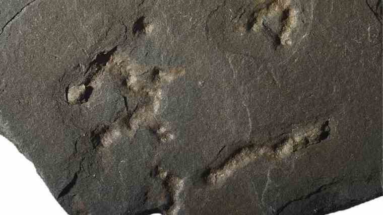 Απολιθώματα μικροοργανισμών αποκαλύπτουν ότι η ζωή στη Γη είχε αρχίσει πριν 2,1 δισ. χρόνια