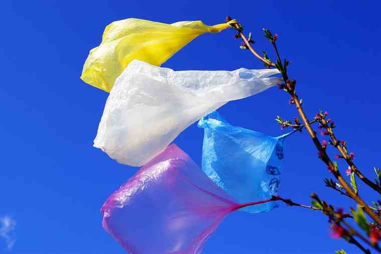 Απόκριση στο θαλάσσιο περιβάλλον έχουν οι εκστρατείες ενημέρωσης για τη μείωση της πλαστικής σακούλας