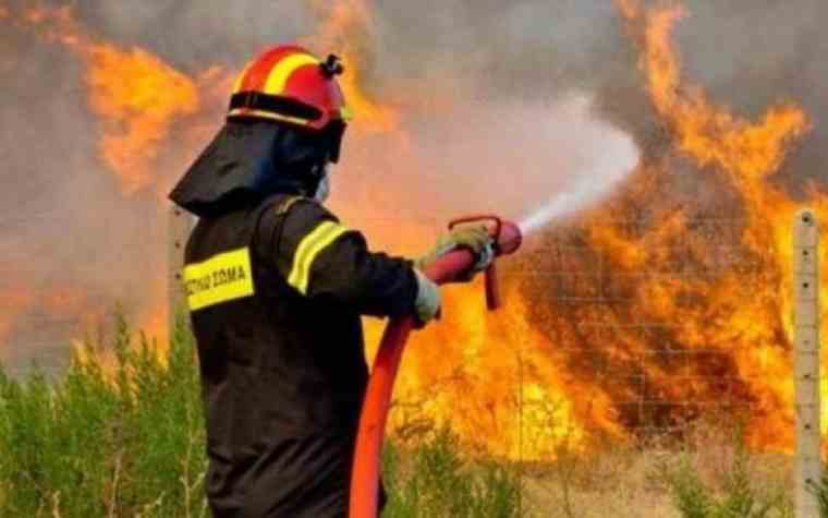 Ειδικό σχέδιο δράσης για την πρόληψη των δασικών πυρκαγιών με προσλήψεις προσωπικού