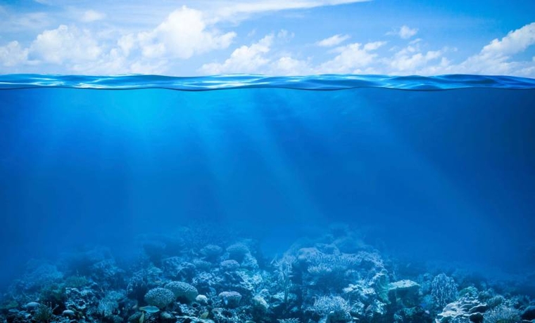 Έκκληση Μπαρδέμ για την προστασία των ωκεανών