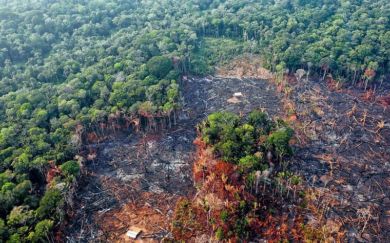 Παραμυθίες για τις πυρκαγιές στον Αμαζόνιο: Τα δάση της Ν. Αμερικής δεν αποτελούν τον πνεύμονα του πλανήτη…