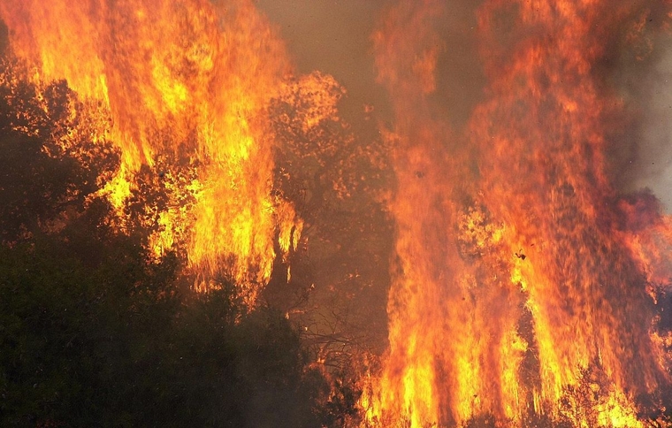 Σε πλήρη εξέλιξη πυρκαγιά στην Εύβοια που καίει δάσος Natura