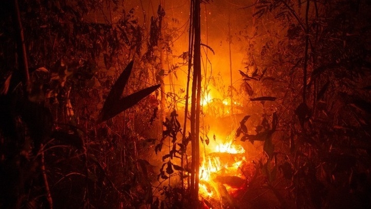 Πυρκαγιές στον Αμαζόνιο: 63 συλλήψεις και πρόστιμα 8,7 εκατ. δολ. ανακοίνωσε η Βραζιλία