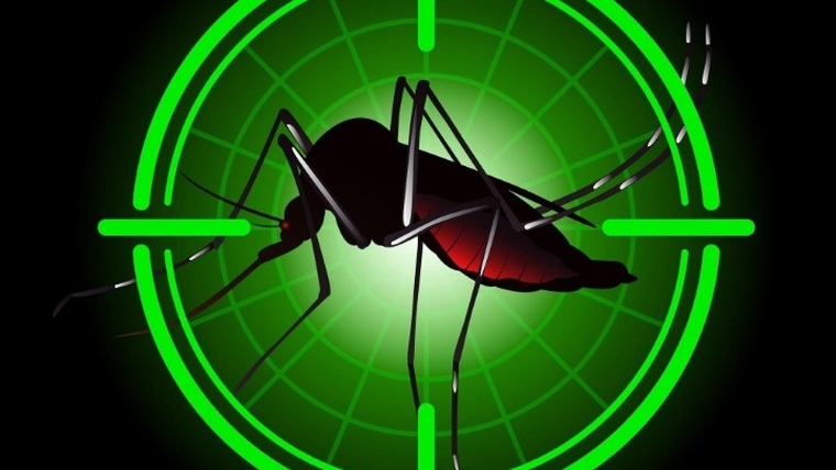 Πρωτοποριακό σύστημα προειδοποίησης για τον ιό του Δυτικού Νείλου