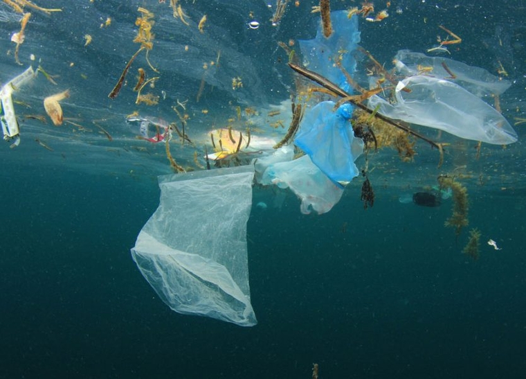 Τριάντα εννέα τόνοι πλαστικού καταλήγουν στις ελληνικές θάλασσες κάθε μέρα