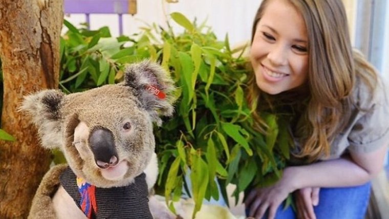 Βοήθησαν πάνω από 90.000 ζώα στην καιόμενη Αυστραλία