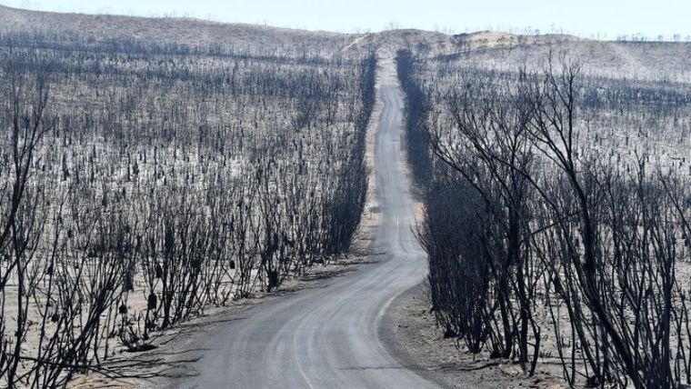 Τα απειλούμενα είδη της Αυστραλίας επλήγησαν περισσότερο από τις πυρκαγιές