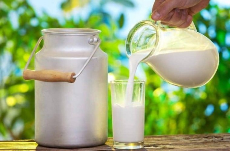 Ελληνικό γάλα… από τη φάρμα στο ποτήρι
