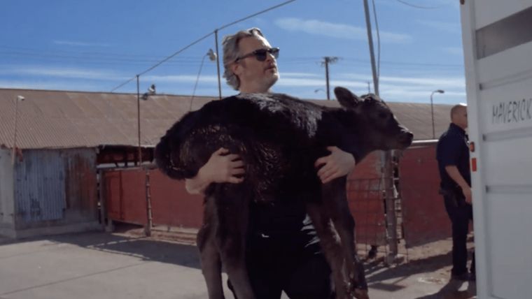 Ο Χοακίν Φίνιξ έσωσε αγελάδα και το μοσχαράκι της από σφαγείο στο Λος Άντζελες