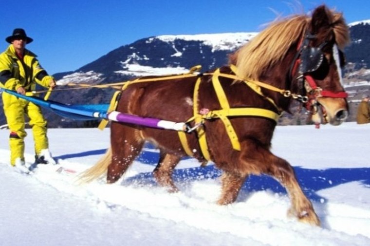 Σκι με άλογα: Η θεαματική εκπαίδευση Ρώσων στρατιωτικών στην παγωμένη Απω Ανατολή