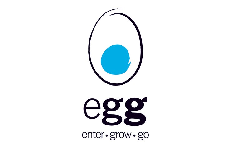 Προκήρυξη 8ου κύκλου Προγράμματος egg – enter•grοw•go
