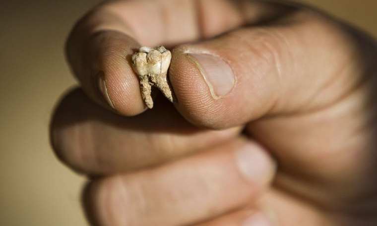 Ανακαλύφθηκαν πρώιμα απολιθώματα Homo sapiens ηλικίας περίπου 45.000 ετών