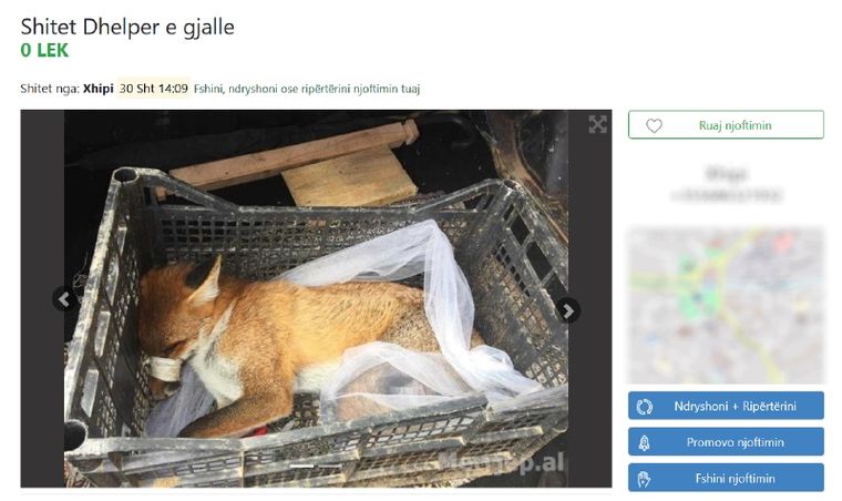 Ελέω κορονοϊού «αγρίεψε» το παράνομο διαδικτυακό εμπόριο ζώων στην Αλβανία