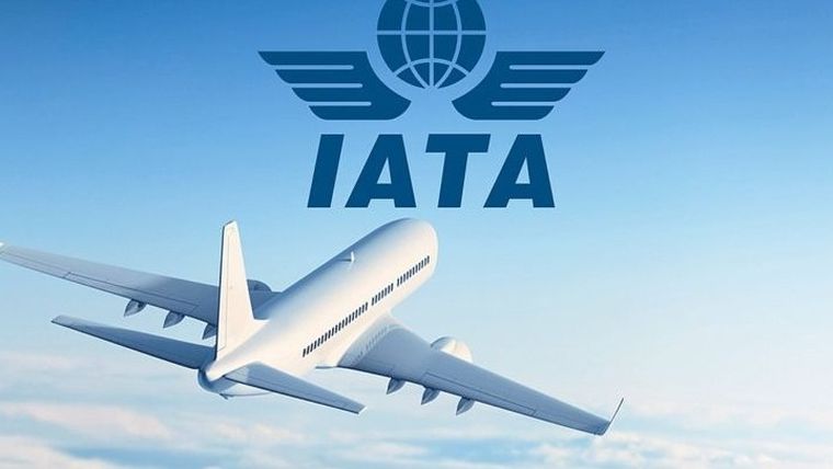 Οι αεροπορικές εταιρείες ζητούν «γονυπετείς» τη βοήθεια των επιβατών