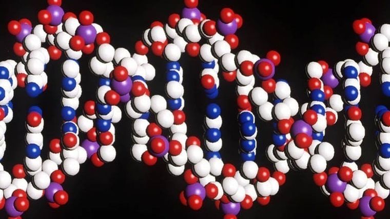 Κληρονομιά από τους Νεάντερταλ τμήμα του ανθρώπινου DNA που αυξάνει τον κίνδυνο για σοβαρή Covid-19