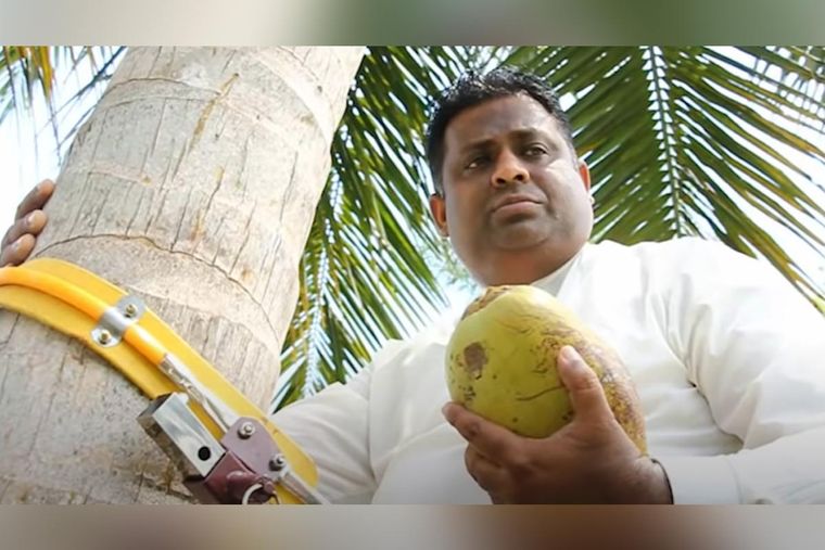 Σρι Λάνκα: Υπουργός Καρύδας δίνει συνεντεύξεις Τύπου πάνω στα δέντρα