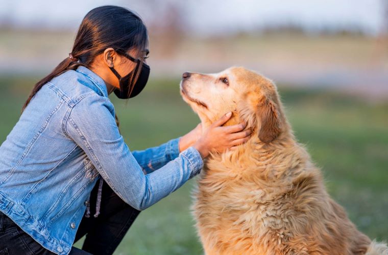 Οι σκύλοι μυρίζουν και τον κορονοϊό – Ήδη εκπαιδεύονται