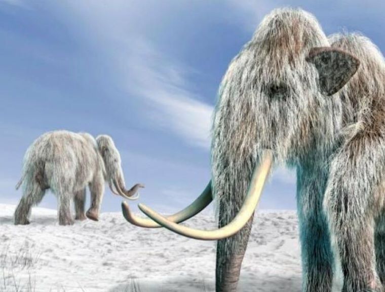 Το αρχαιότερο DNA στον κόσμο απομονώθηκε από απομεινάρια μαμούθ στη Σιβηρία
