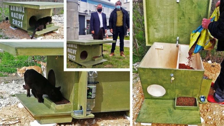 Ξύλινα σπιτάκια για τη φιλοξενία αδέσποτων ζώων τοποθετεί ο Δήμος Θάσου