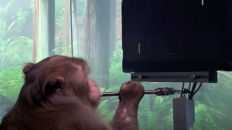 Τεχνολογική επανάσταση: Μαϊμού παίζει βιντεοπαιχνίδι με το μυαλό της
