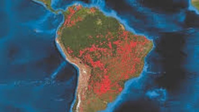 Παράνομα γίνεται το 94% της αποψίλωσης του δάσους του Αμαζονίου