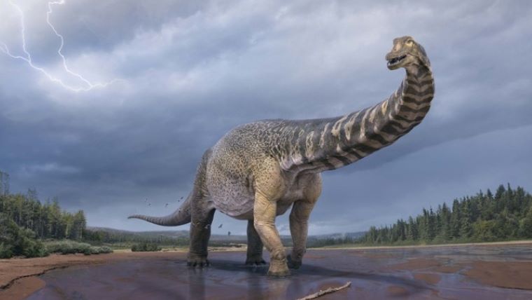 Ο δεινόσαυρος «Αυστραλοτιτάν» είχε μήκος όσο ένα γήπεδο μπάσκετ και ύψος 6,5 μέτρων