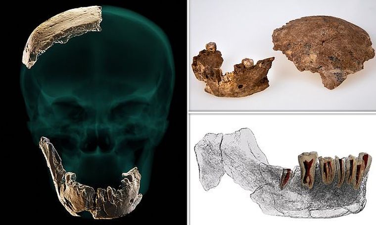 Nesher Ramla Homo: Μακρινός απόγονος των Ευρωπαίων ανακαλύφθηκε στο Ισραήλ