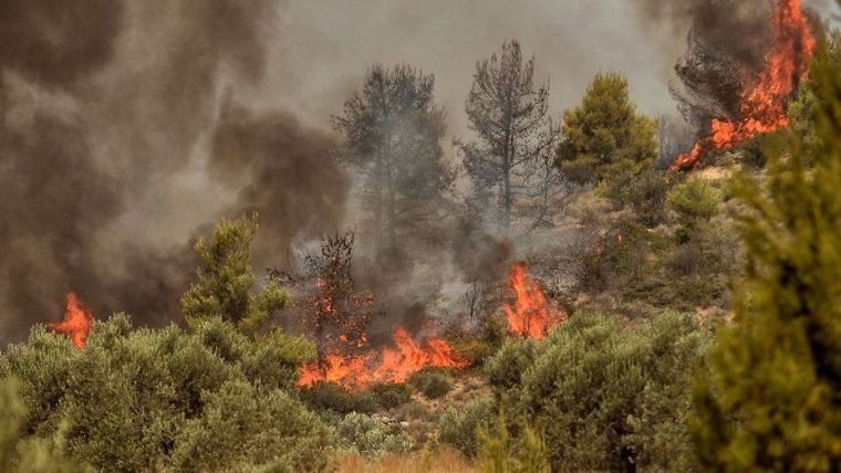 Υψηλός κίνδυνος για δασικές πυρκαγιές λόγω καύσωνα αύριο