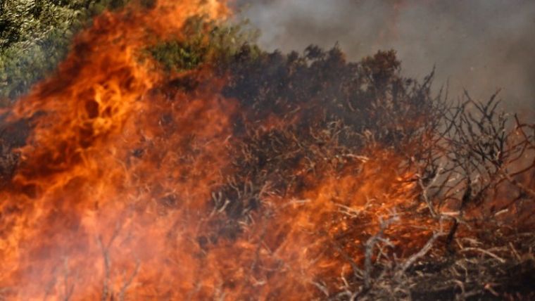 Τουλάχιστον 42 νεκροί στις πυρκαγιές που κατακαίνε τη βόρεια Αλγερία