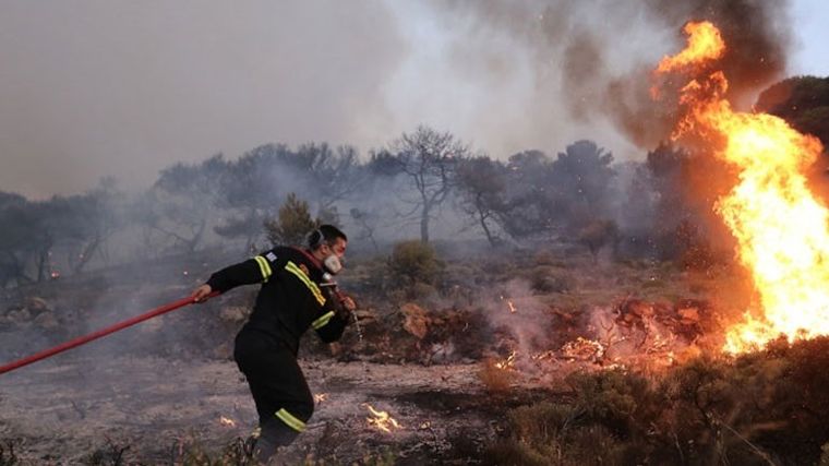 Μέτρα ανακούφισης των πληγέντων από τις πρόσφατες φωτιές στην Αχαΐα ανακοίνωσε ο Στέλιος Πέτσας