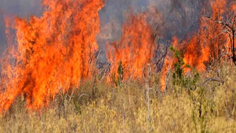 ΓΓΠΠ: Πολύ υψηλός κίνδυνος πυρκαγιάς σήμερα για πολλές περιοχές