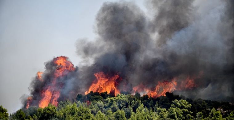 Πυρκαγιά στην Κερατέα: Μήνυμα του 112 για εκκένωση των οικισμών Μαρκάτι και Συντερίνα