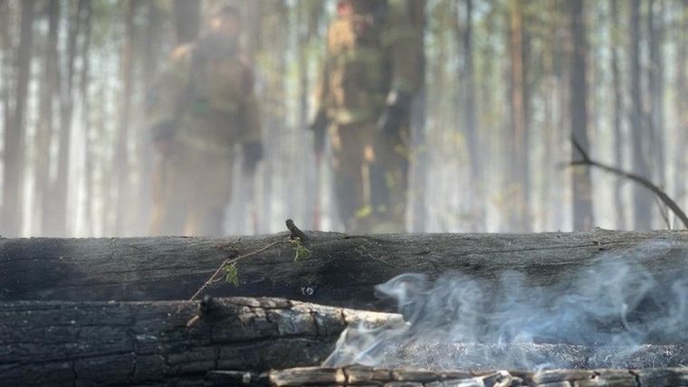 Στο Βόρειο Πόλο έχει φτάσει ο καπνός από τις πυρκαγιές στη Σιβηρία
