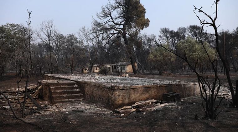 Το 16% των δασών της Αττικής κάηκαν στις πρόσφατες πυρκαγιές