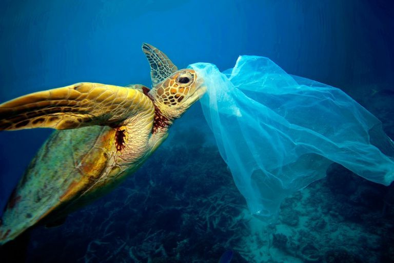 Κάθε χρόνο 17.600 τόνοι πλαστικών καταλήγουν στη Μεσόγειο