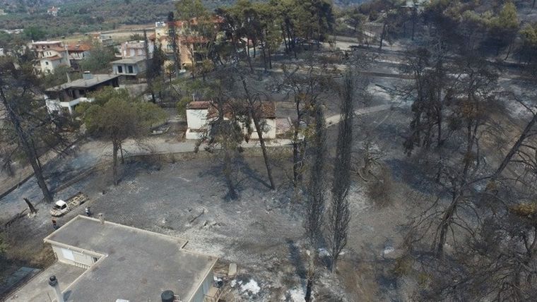 Χαρτογράφηση της ευφλεκτότητας της νεκρής δασικής καύσιμης ύλης στην Ελλάδα