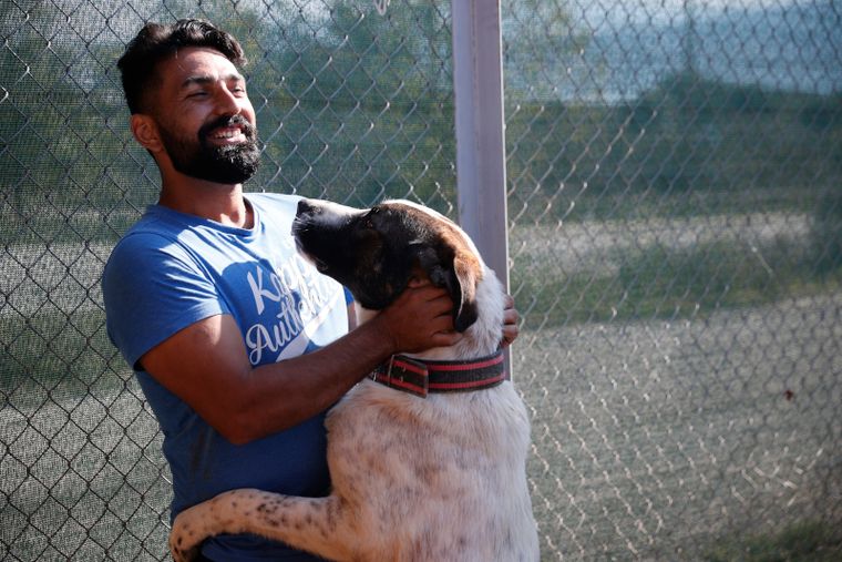 Βαγιοχώρι:Το πρότυπο προσφυγικό camp φιλοζωίας, γεμάτο σκυλόσπιτα και γάτες