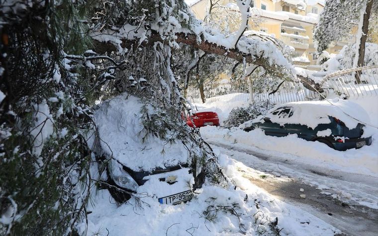 Δήμος Αθηναίων: Αποζημιώσεις στους ιδιοκτήτες αυτοκινήτων που υπέστησαν ζημιές από πτώσεις δένδρων