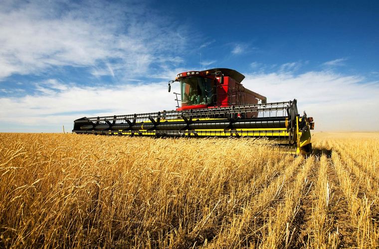 Παγκόσμια επισιτιστική κρίση αν η Ευρώπη δεν αυξήσει την παραγωγή σιτηρών