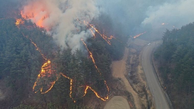 Ο καπνός από τις δασικές πυρκαγιές καταστρέφει το στρώμα του όζοντος