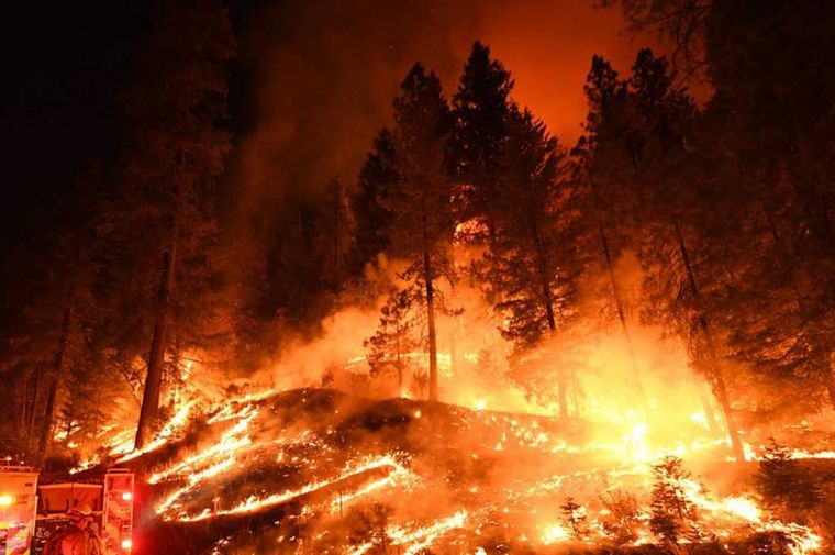 Σημαντικά αυξημένες οι δασικές πυρκαγιές στην Ελλάδα σε σχέση με πέρυσι
