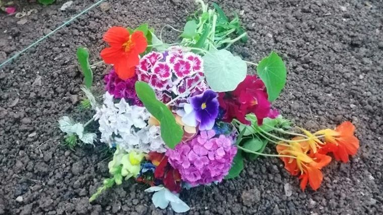 Βρώσιμα λουλούδια και μπουκέτα αγάπης για τη γιορτή της Μητέρας