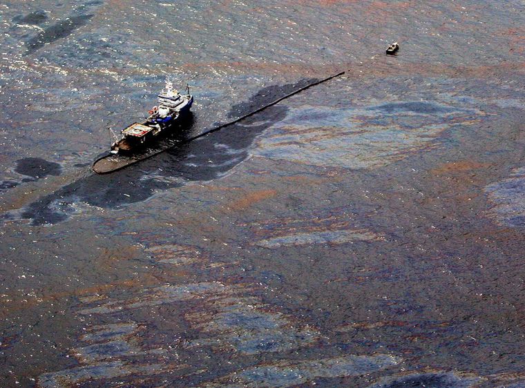 Με πλωτούς υγρότοπους μπορεί να ελεγχθεί η ρύπανση θαλάσσιων υδάτων από πετρελαιοειδή