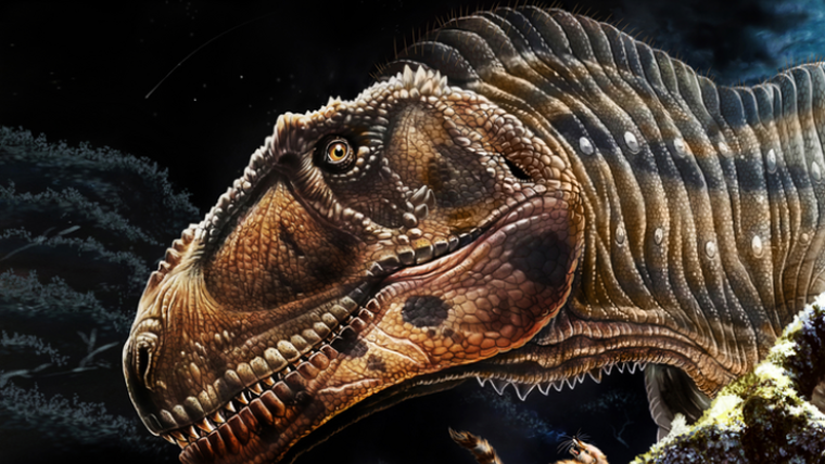 Ανακαλύφθηκε στην Αργεντινή ο νέος γιγάντιος δεινόσαυρος Meraxes με μικρά χέρια όπως ο Τυραννόσαυρος