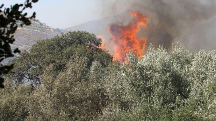 Πυρκαγιά σε δασική έκταση στο Πόρτο Γερμενό